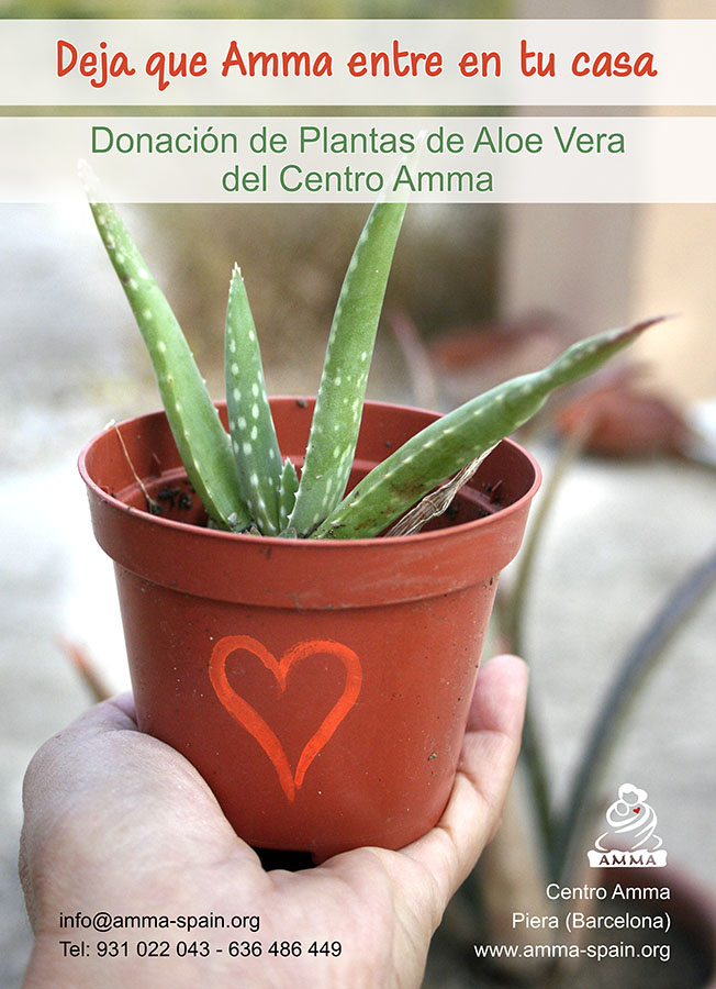 donacion aloes