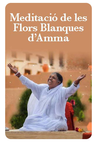 meditacion flores blancas3