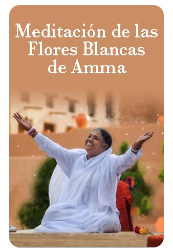 meditacion flores blancas3