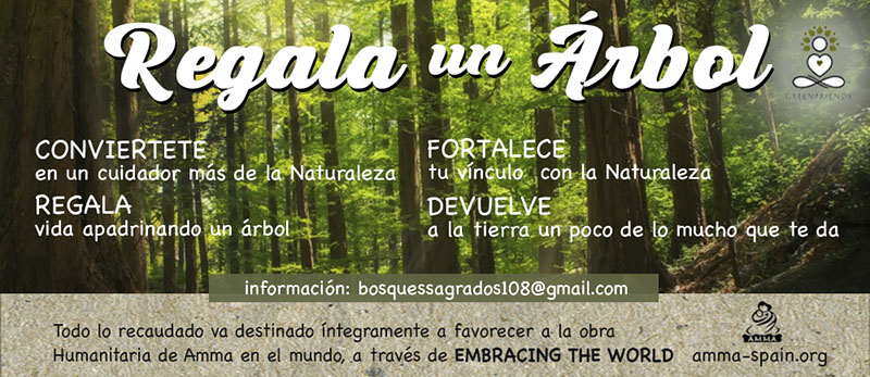 greenfriends regala arbol banner 1