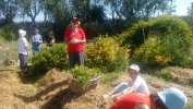 Preparando el Jardín