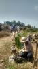 Briquetadora, jardín y niños en el Ashram...