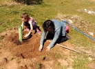 Más-plantaciones-de-árboles-en-Segovia