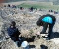 Plantación Bosque Govinda en Bernuy (Segovia) el Sábado 9 de Abril