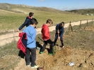 Plantación Bosque Govinda en Bernuy (Segovia) el Sábado 9 de Abril