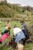 Plantación Greenfriends en  Étura (Vitoria)