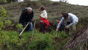 Plantación Greenfriends en  Étura (Vitoria)