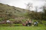 Plantación Greenfriends en  Étura (Vitoria)