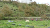 Plantación Greenfriends en  Étura (Vitoria)