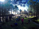 Plantaciones en la Sierra de Gredos