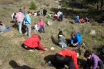 Plantaciones en la Sierra de Gredos