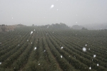 Nieve en el Centro Amma en Piera