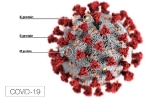 Nitric Oxide kills COVID-19