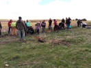 Nueva plantación de árboles en Segovia