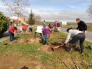 plantacion-arboles-segovia