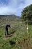 Plantación de árboles en Bustarviejo (Madrid)