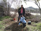 Plantación de árboles en Bustarviejo (Madrid)