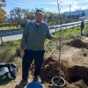 PLANTACIÓN DE ÁRBOLES EN LOZOYUELA 