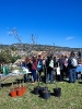 Plantación de árboles en Torrelaguna (MADRID)