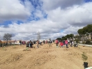 plantación Segovia 15/3/2019