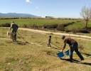 plantaciones-arboles-provincia-segovia-29032017