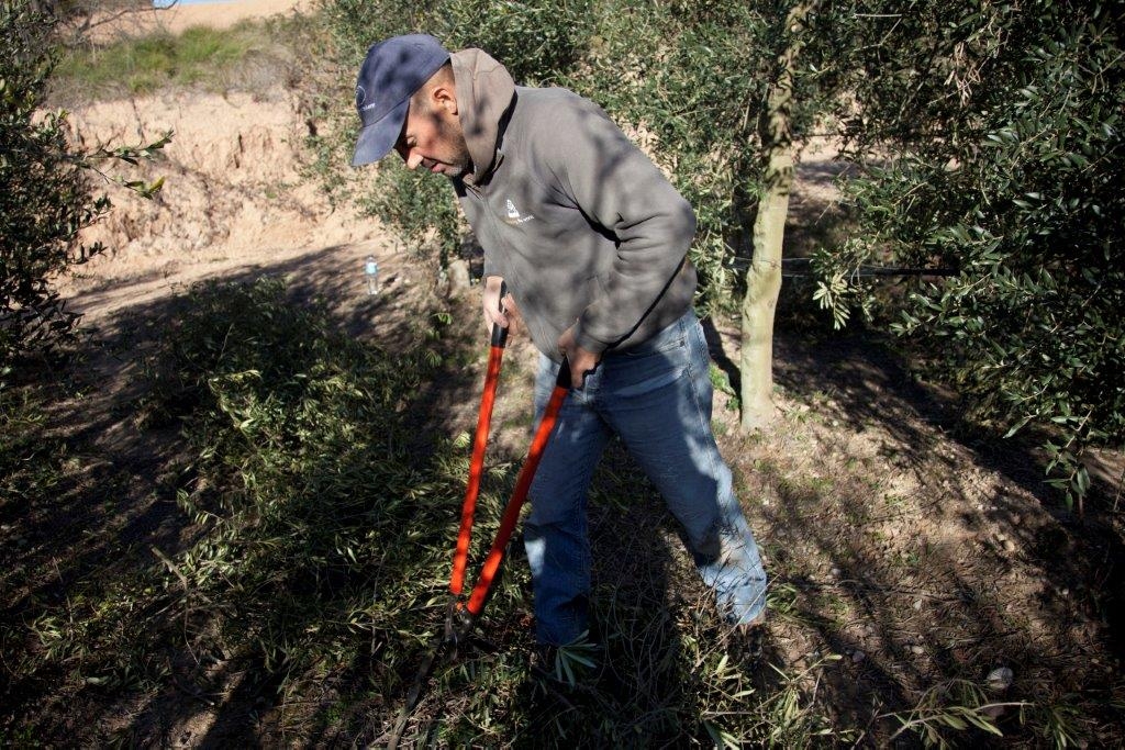 Luis cortando