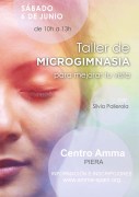 cartel_tallermicrogimnasia