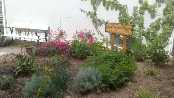 Pequeño jardín que han plantado los internos