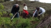 Plantación Greenfriends en Étura (Vitoria)
