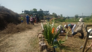 Fin de semana en el Centro Amma: Biomasa, jardín y niños en el Ashram