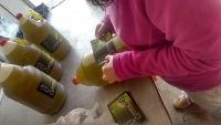 Envasando aceite de la cosecha de este año