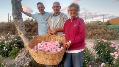 Rosas para la Divinidad