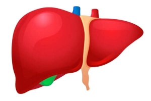 Los investigadores del Hospital Amrita hallan un camino para “quemar” el cáncer de hígado