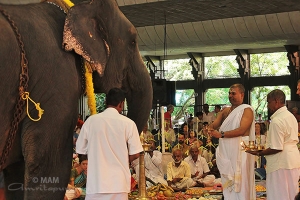 Celebración de Ganesh Chaturthi en Amritapuri