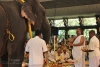 Celebración de Ganesh Chaturthi en Amritapuri