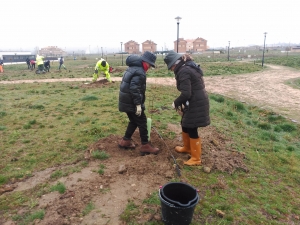 Nueva plantación en Segovia