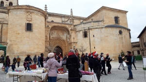 Mercadillo de Greenfriends en Torrelaguna