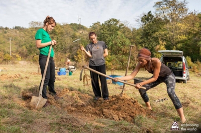 Plantar un arbre significa molt més que el fet de plantar-lo